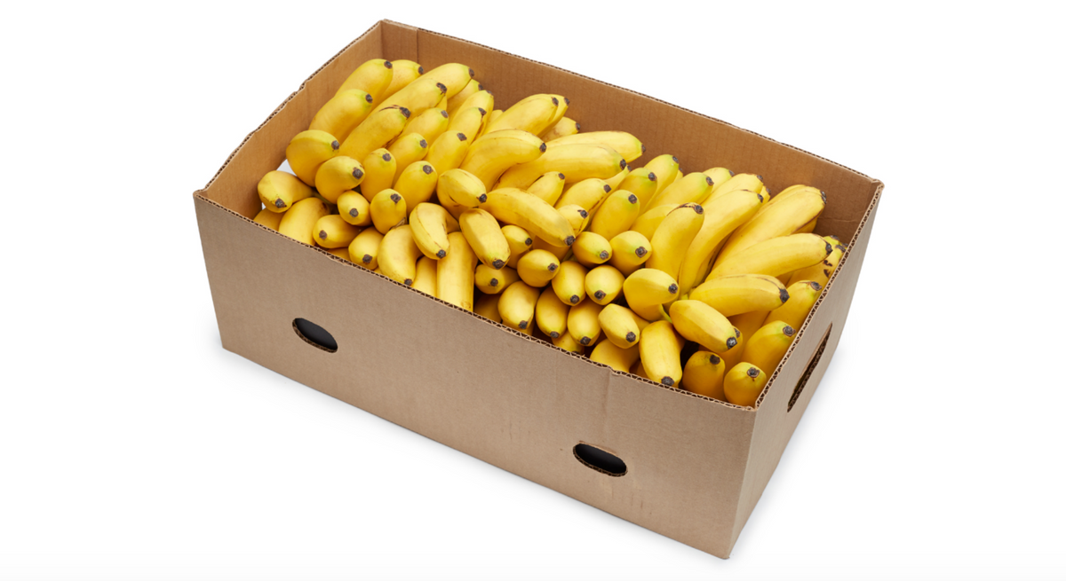 banana tackle box Banana Case (40 lbs) – The Farmers On Wheels
