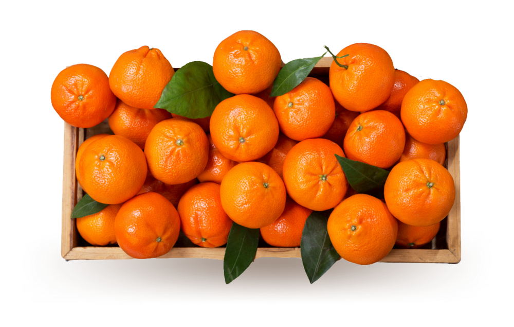 Tangerine Box