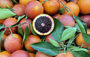 
                  
                    Load image into Gallery viewer, Blood Oranges
                  
                