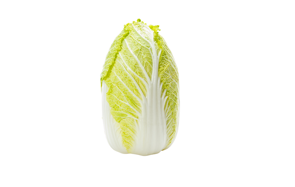 Longleaf Napa Cabbage