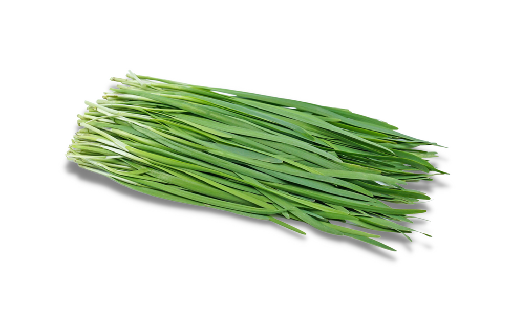 Chinese Green Chives
