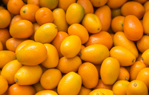 
                  
                    Load image into Gallery viewer, Kumquats
                  
                
