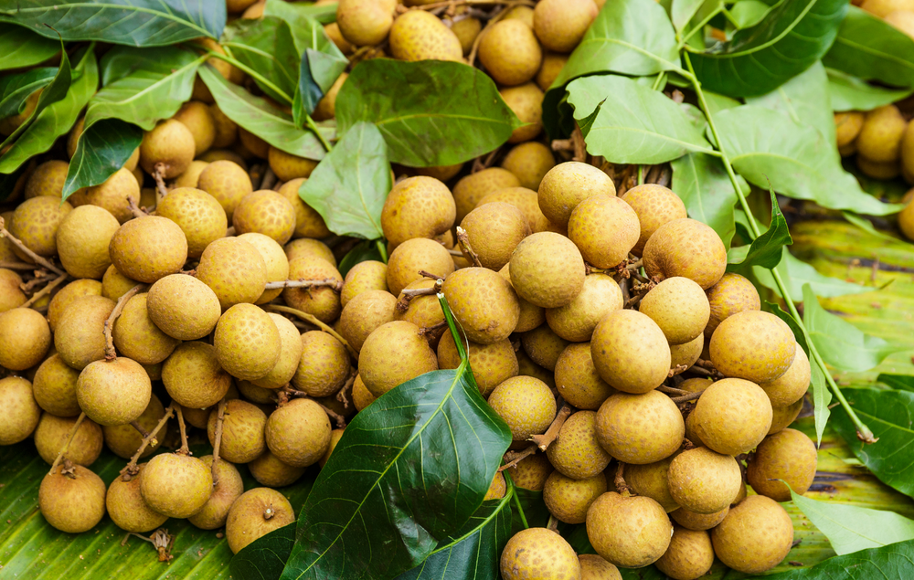 
                  
                    Load image into Gallery viewer, Longan Fruit
                  
                