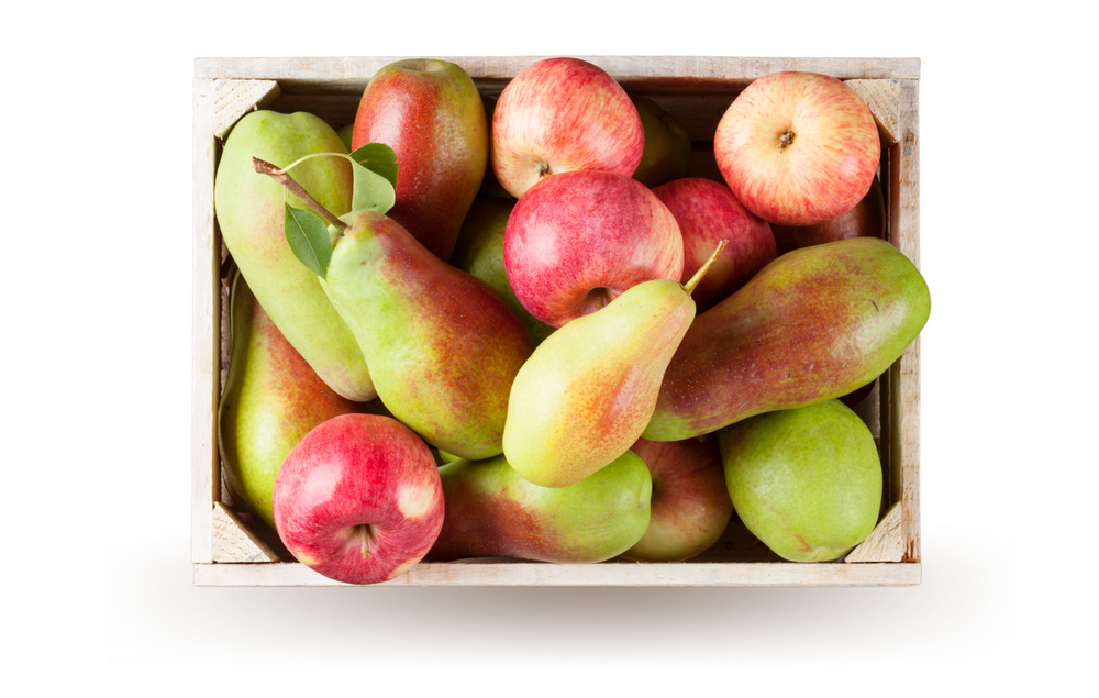 Apple & Pear Box