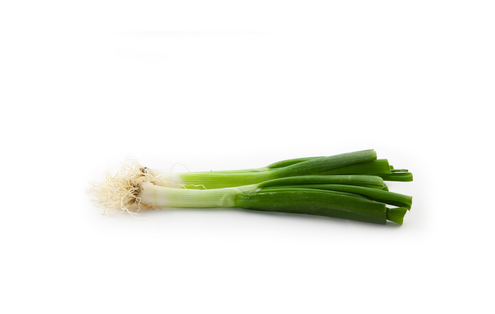 Chinese Green Onions