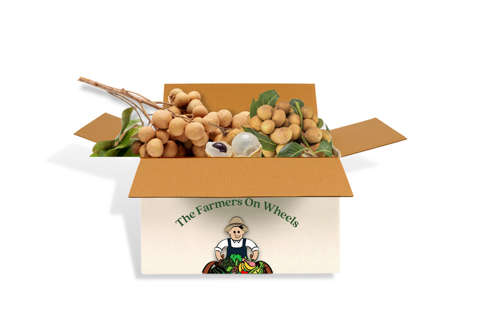 
                  
                    Load image into Gallery viewer, Longan Fruit Box (Pre-Order) *Nationwide Shipping*
                  
                