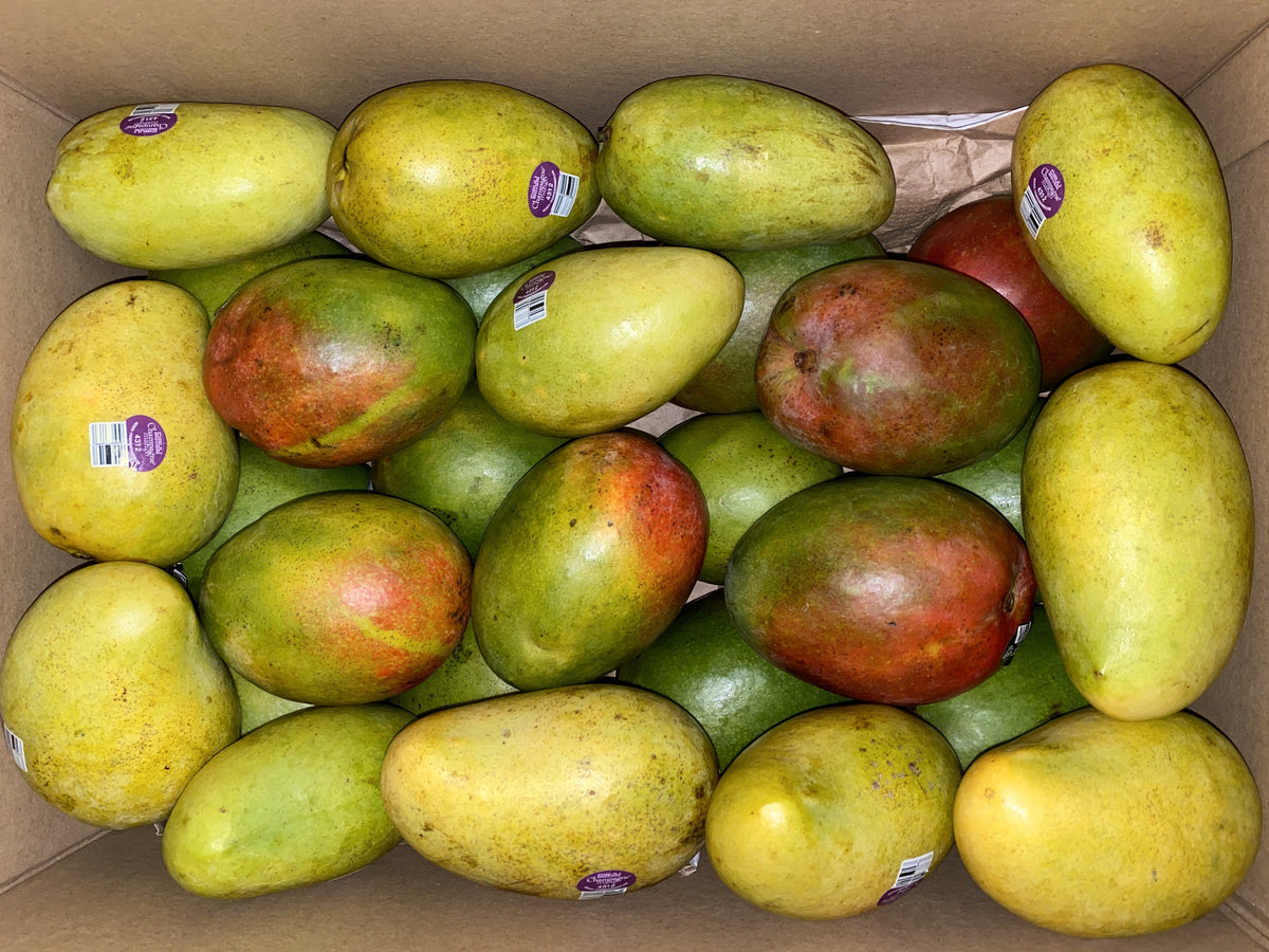 Tropical Mixed Mango Box Delivery - Free Nationwide Shipping – The ...